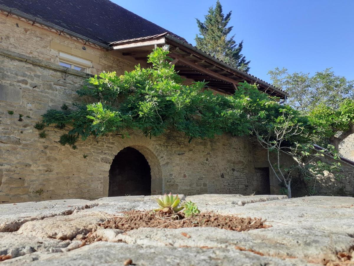 Gite "Las Casitas Du Lot" Dans Le Perigord Frayssinet-le-Gelat Ngoại thất bức ảnh